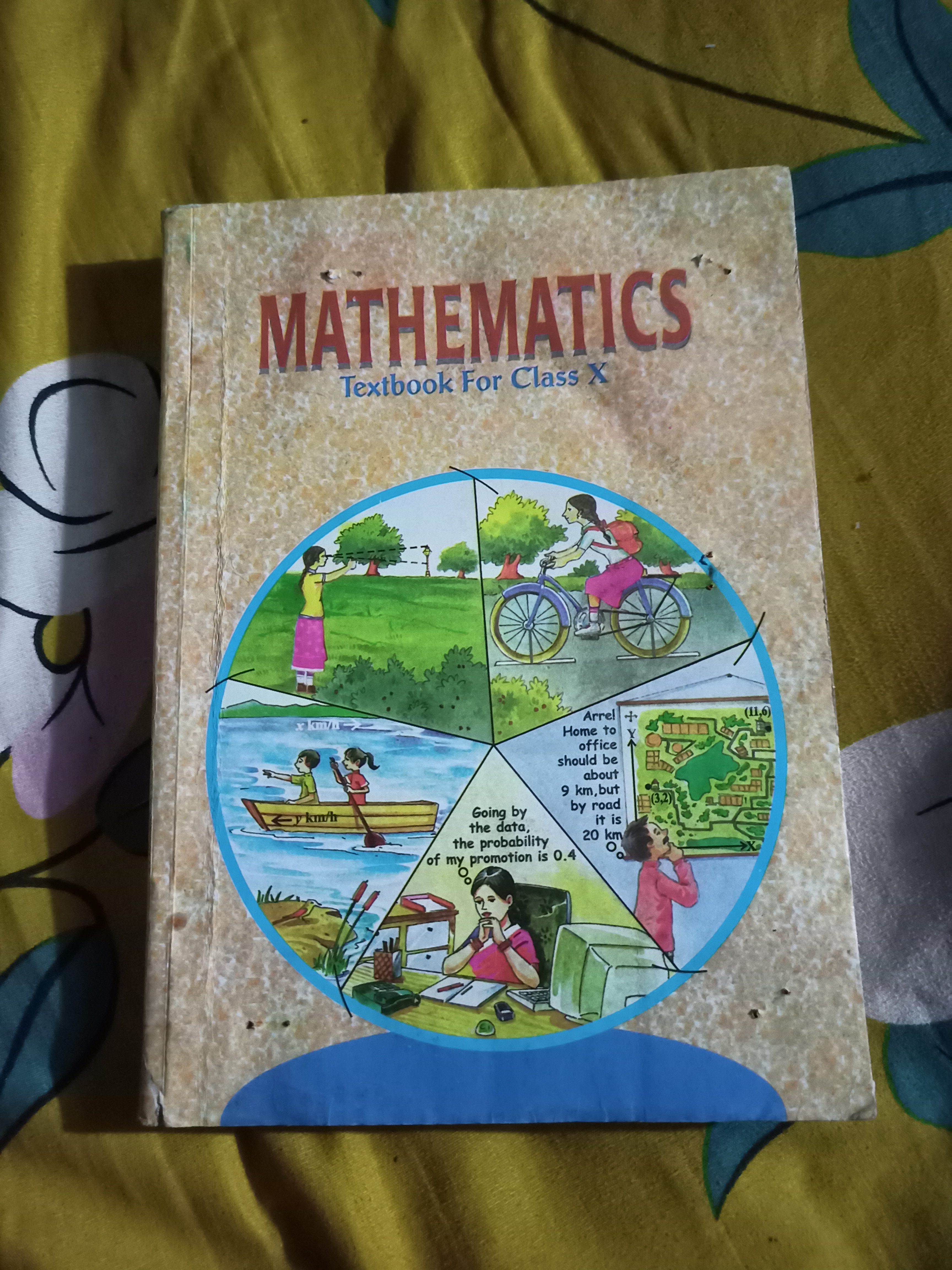 Class 10 math book