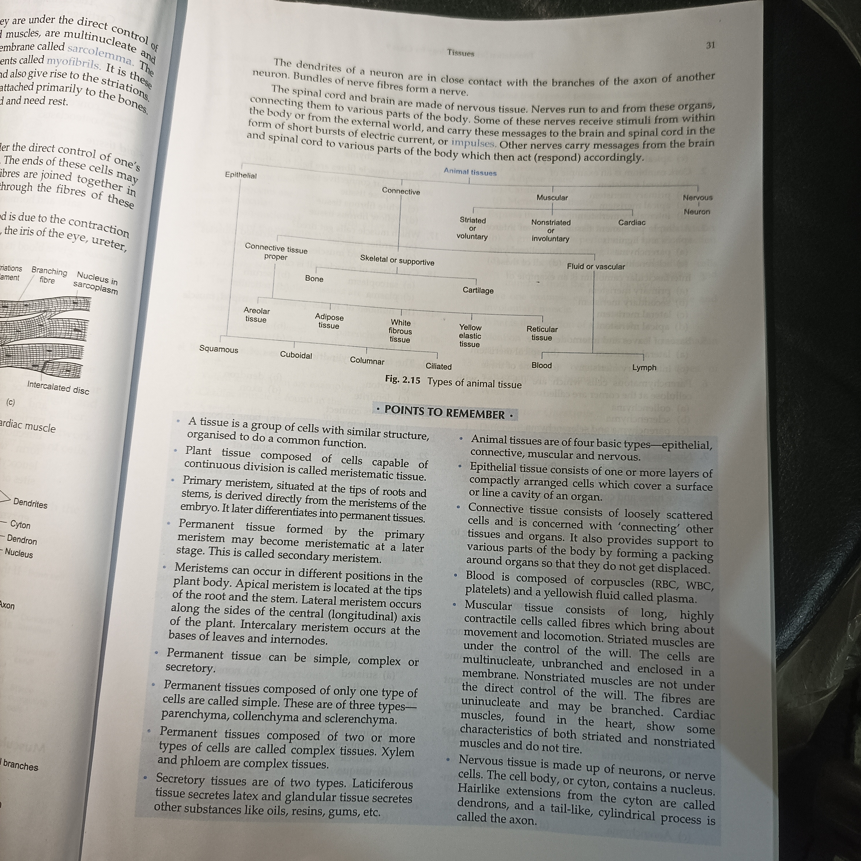 Foundation science Biology