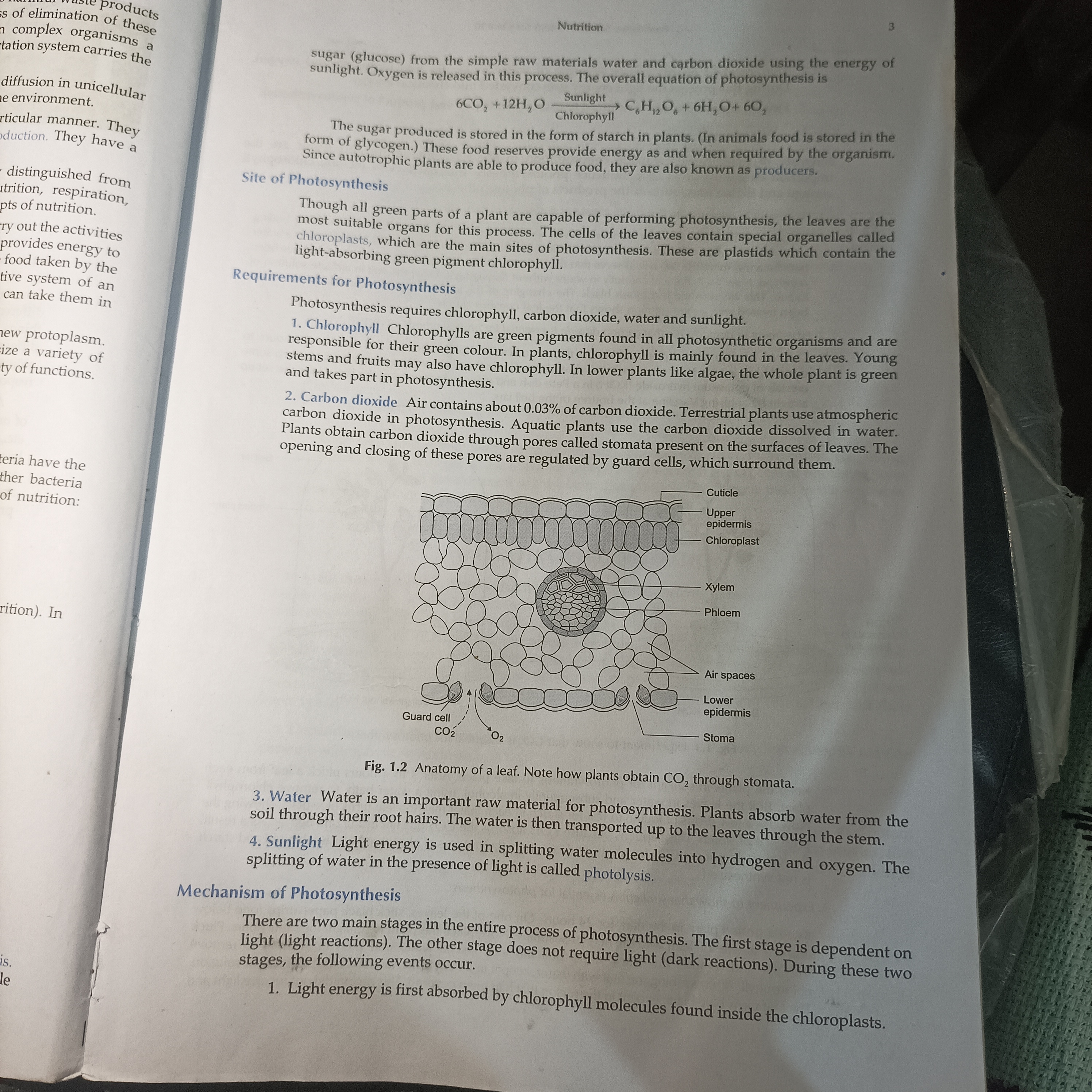 Biology