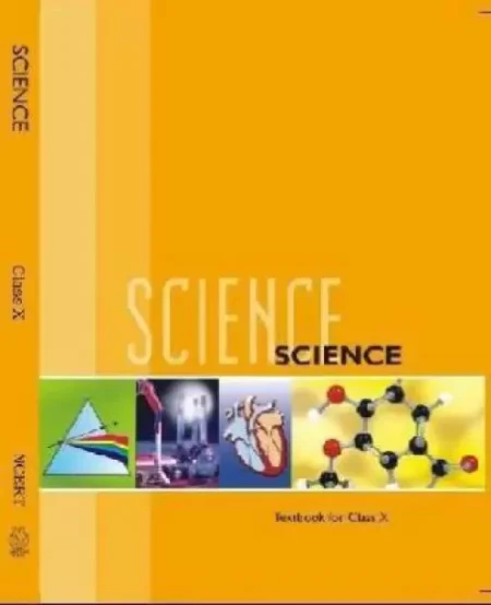 Science NCERT Textbook For Class 10 English Medium New Paperpack, SCERT|New Latest Edition For 2025-2026 (Paperpack, SCERT)
