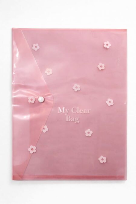 MY CLEAR BAG HIGH QUALITY  (DOCUMENT HOLDER)