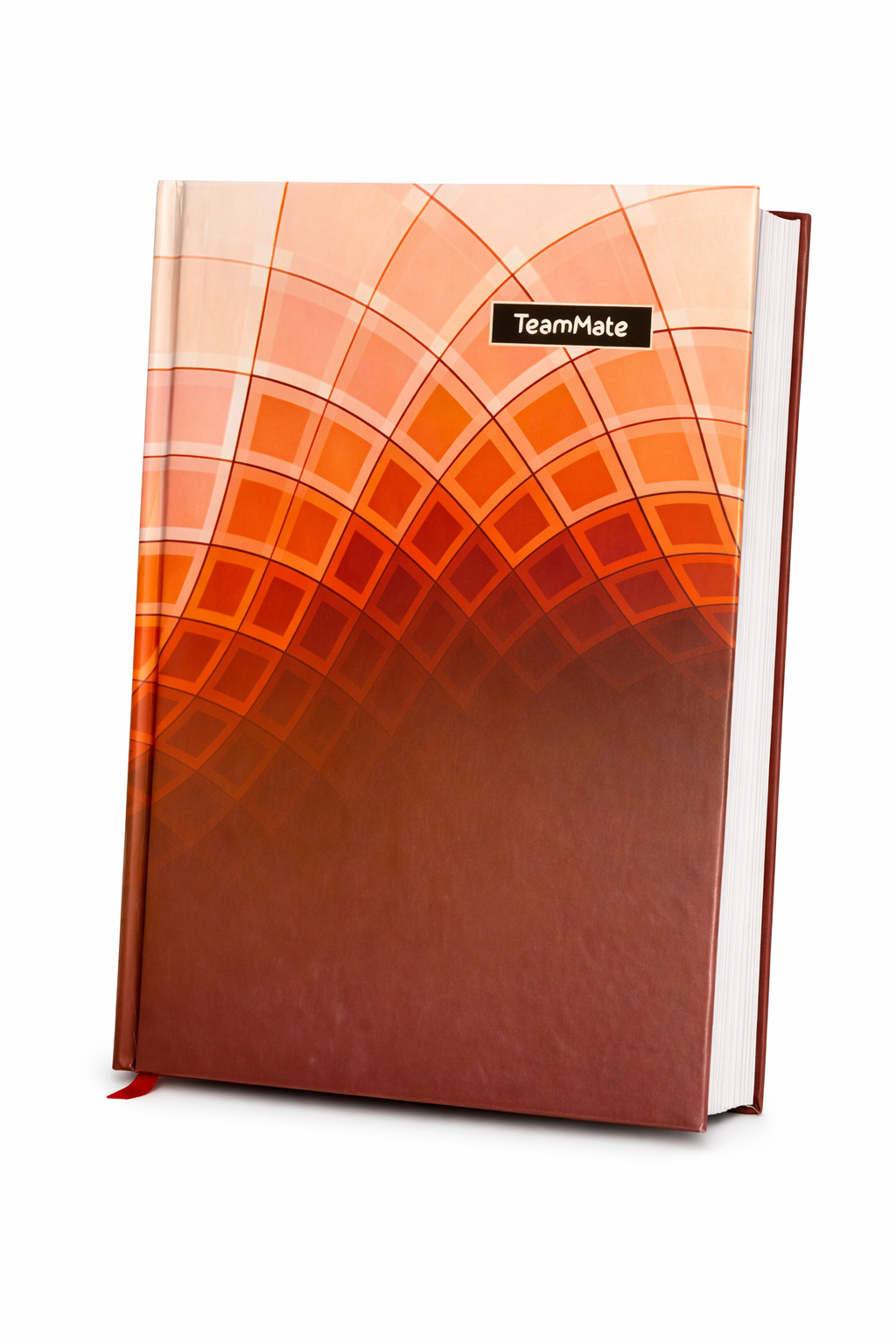 TeamMate Premium Hardcover Diary